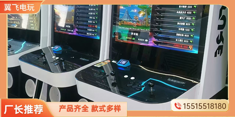 临高县电玩设备赛车机 - 价格